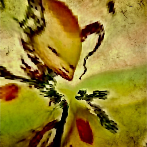 C4Y - Tons (prod. QWentCrazy)*ESbassBOOSTED*.wav