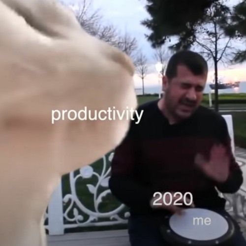 cat vibing to ievan polkka