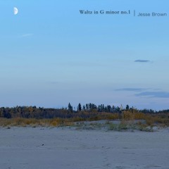 Waltz in G minor no. 1