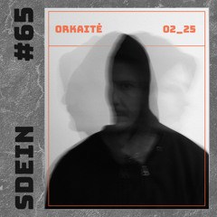 ORKAITĖ Podcast #65 - SDEIN