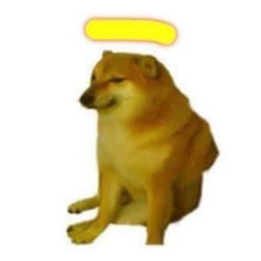 A cappella my future cover