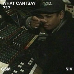 What Can I Say??? - niv x gsm
