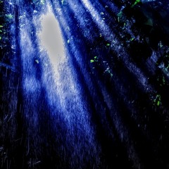 Blue Shadow