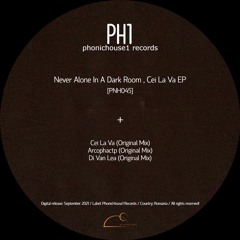 Never Alone In A Dark Room - Di Van Lea [PNH045] (PREMIERE)