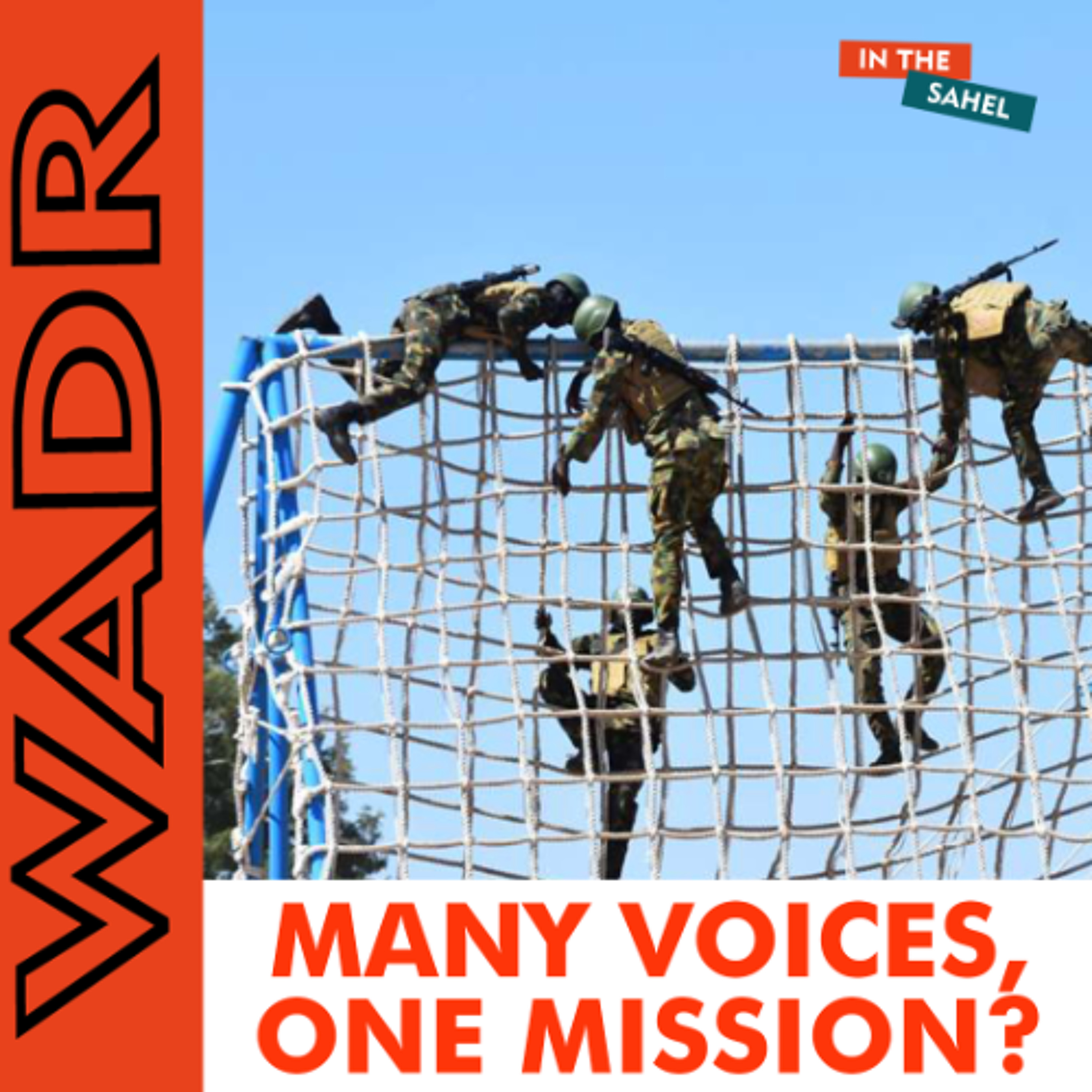 Diverse Security Networks In The Sahel: Advantage or Challenge? episode artwork