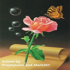 Prophylaxis & MarkZ67 Echoes