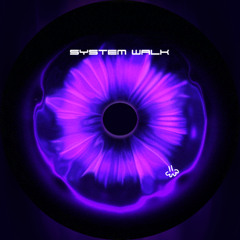System Walk by Shebi