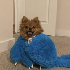 miss me (xmichaelwarren)