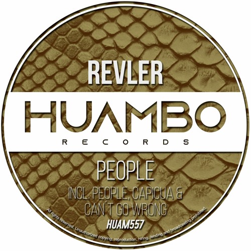 Revler - Can´t Go Wrong (Fun Mix)