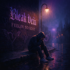 𝓑𝓵𝓮𝓪𝓴 𝓥𝓮𝓲𝓷 - Feelin' So Lost