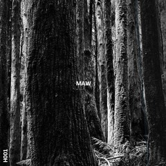 MAW H001