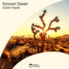 Adrien Kepler - Sonoran Desert