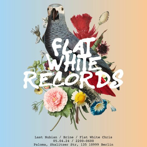 2024-04-05 Live At Flat White Records (Last Nubian, Brine, Flat White Chris)