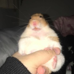 PARAMPAMPAM (PROD by ThatKidGoran)