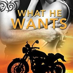 Book: What He Wants by Tory Richards
