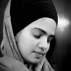 Moko tu na bisar I ਮੋਕਉ ਤੂੰ ਨ ਬਿਸਾਰਿ ਤੂ ਨ ਬਿਸਾਰਿ I