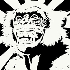 Compil Le Son Du Porte -Voix