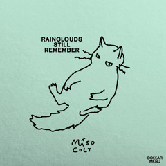 Rainclouds Still Remember