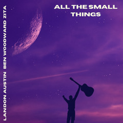 All The Small Things (ft. Landon Austin & Ben Woodward)