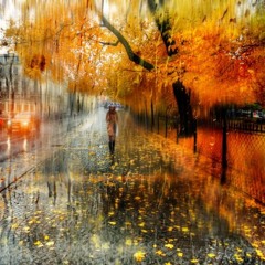 Tedious Autumn Rain