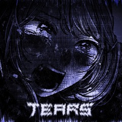 Tears (ft. VIXEL)