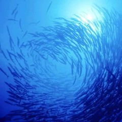 Entrez Dans La Transe