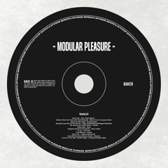MODULAR PLEASURE