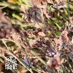 Tale 1 - Cylindric