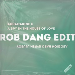 Aquamarine x House of Love (Rob Dang Edit)