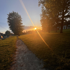 greenpoint elijah fox griffith berserk