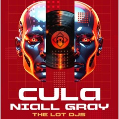 Niall Gray live @ the lot club bennigans 8/11/25