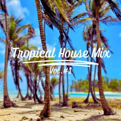 Tropical House Mix #1