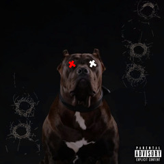 Pit