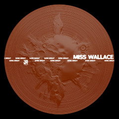 PREMIERE: Miss Wallace - Shine Bright