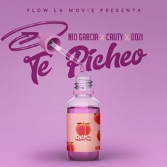 Te Picheo feat. Nio Garcia, Cauty