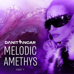 AMETHYST🪻- Melodic Techno Dj Mix (124 bpm)