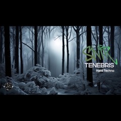 SNIR_DJ_MIX270225CRAZYNESS