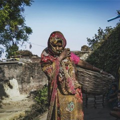 Covid Emergency In India (The Dharma Toolkit Daily, Episode 10)