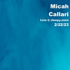 Micah Callari @ sleepy.zone 2/22/2023