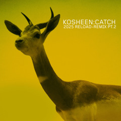 Catch (Ersin AVCI Remix Long Edit)