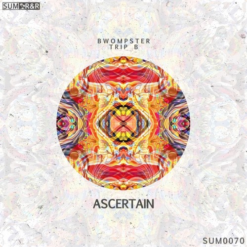 Bwompster, TRiP B - Ascertain //SUM0070