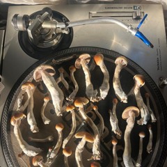 Narkotek vinyl session