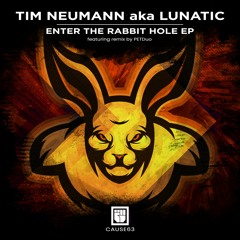 Tim Neumann - Enter The Rabbit Hole - PETDuo RMX - Cause Recs 063