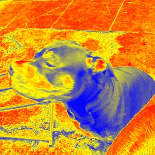 party muscle - Mozey - UKF VERSION