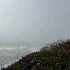 2024-04-23-Saturday-Mornings-Are-My-Favorite