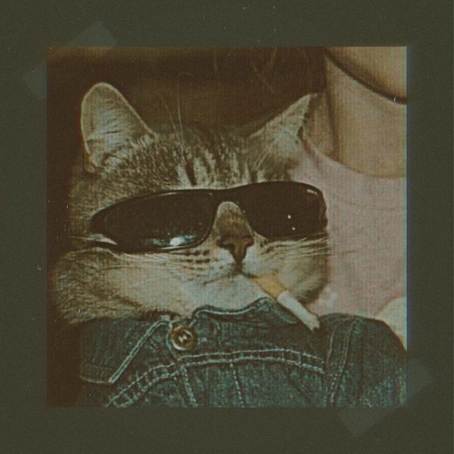 NON STOP (feat. Esken & Solas)