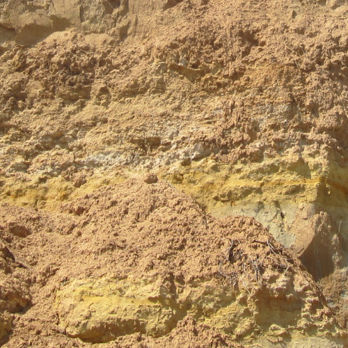 eno and the nature of daylight