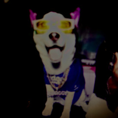 Tris Power Trip Loony!! Slicks!!