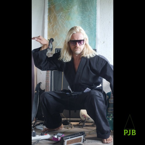 Professor Johan Bring - Extravaganser