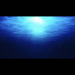 gazo 花 Live @ powwwerrr 2022.5.29